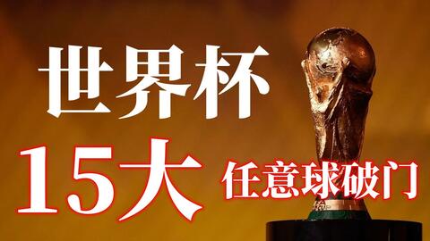 不仅是对其