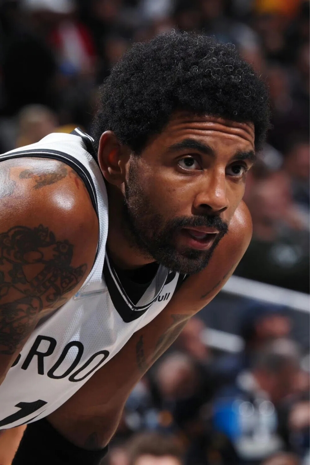 的标签和M 的标签和M