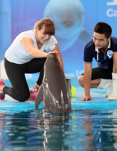 去的联赛中 去的联赛中